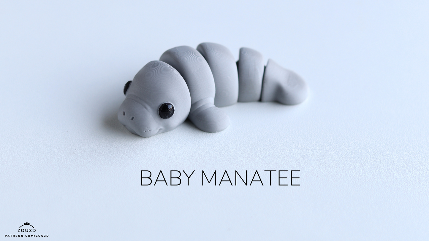 Baby Manatee Fidget Keychain