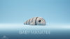 Baby Manatee Fidget Keychain