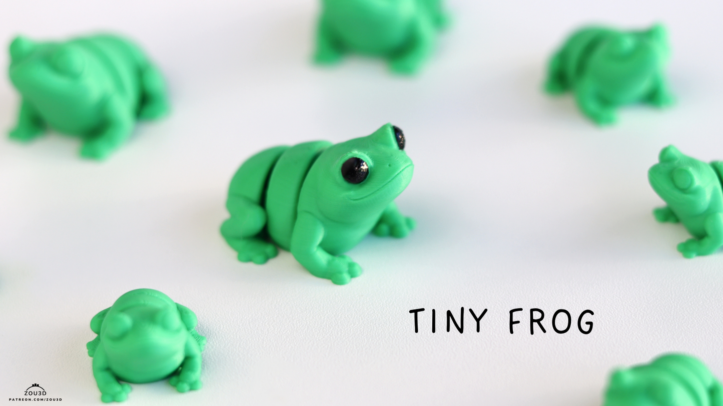 Froggy Fidget Keychain