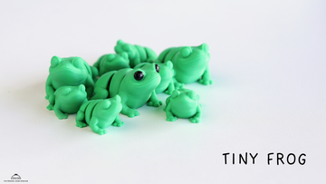 Froggy Fidget Keychain