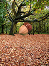 Acorn Fidget Clicker