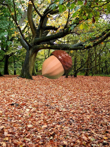 Acorn Fidget Clicker