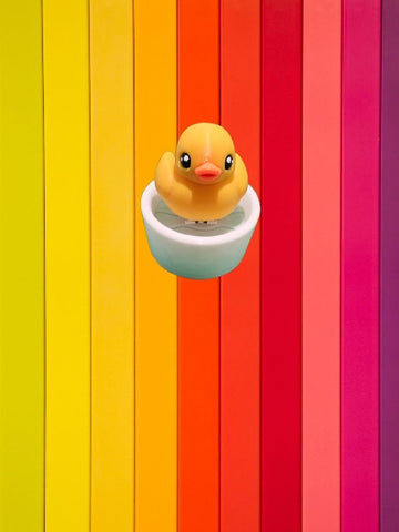 Duck Fidget Clicker