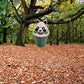 Trash Panda Fidget Clicker