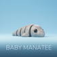 Baby Manatee Fidget Keychain