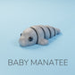 Baby Manatee Fidget Keychain