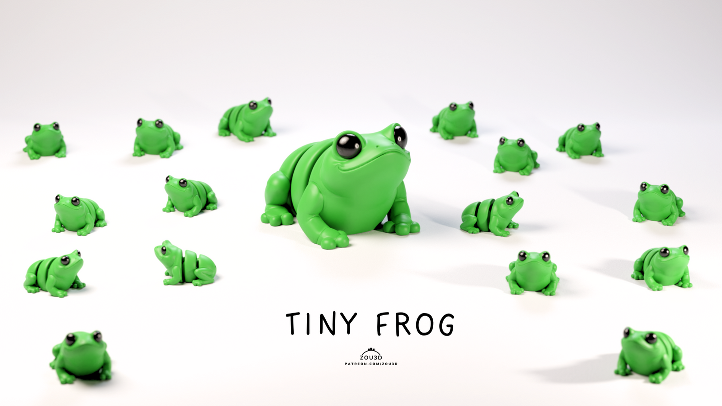 Froggy Fidget  Keychain
